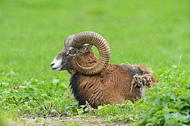 《最终幻想7：核心危机 再融合》采用虚幻4 PC版目标120帧