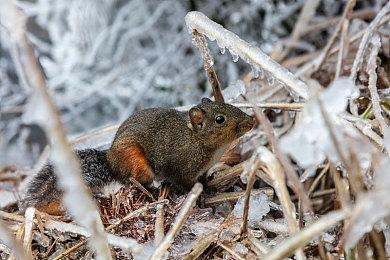 《荒野大镖客OL》“不义之财”7月13日上线 预告公开
